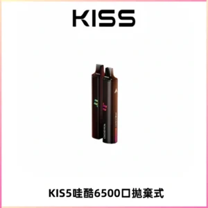 KIS5WAGOO哇酷6500口拋棄式 | 自由混搭雙口味 | 雙芯組合