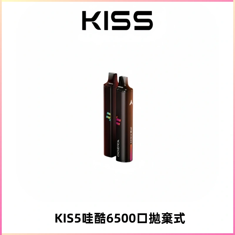 KIS5WAGOO哇酷6500口拋棄式 | 自由混搭雙口味 | 雙芯組合