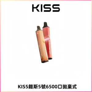KIS5鎧斯5號一次性6500口磁吸式拋棄式電子煙#自由混搭#